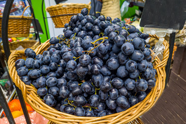 Similar image 20984523