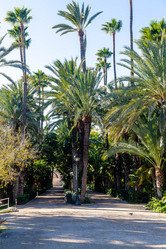 Similar image 20979225