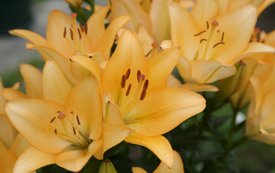 Similar image 20976663