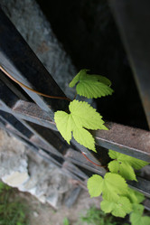 Similar image 20980476