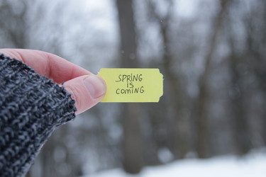 Similar image 20980396