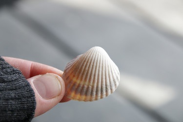 Similar image 20980407