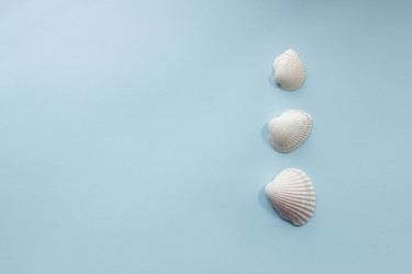 Similar image 20980442