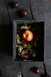 Similar image 20980454