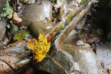 Similar image 20980456