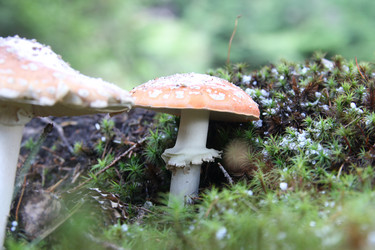 Similar image 20980459