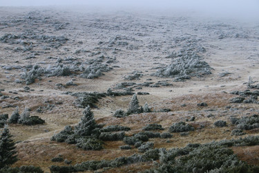 Similar image 20980460