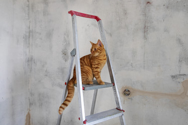 Similar image 20984709