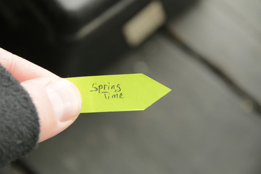 Similar image 20980404