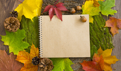 Similar image 20978885