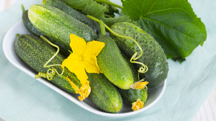 Similar image 20978890