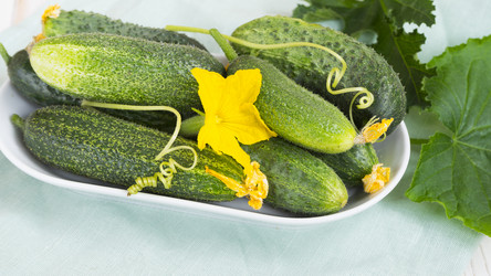 Similar image 20989099