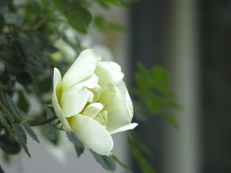 Similar image 20981230