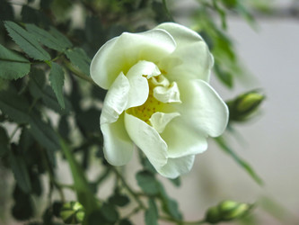 Similar image 20981232