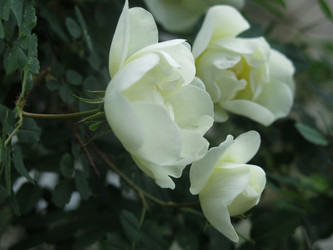 Similar image 20981234