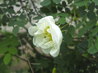 Similar image 20981236