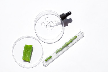 Similar image 20981453