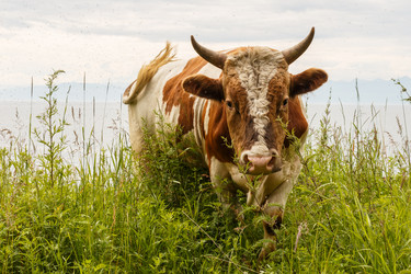 Similar image 20978897