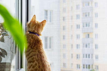 Similar image 20984808