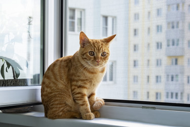 Similar image 20984810