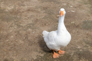 Similar image 20984820