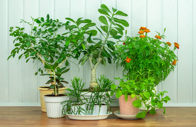 Similar image 20984823