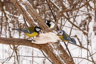 Similar image 20978906