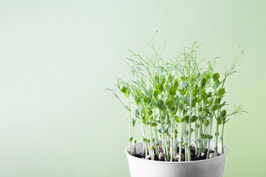 Similar image 20984736