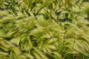 Similar image 20982778