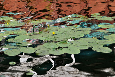 Similar image 20982786