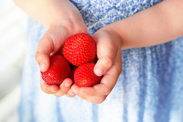 Similar image 20976744