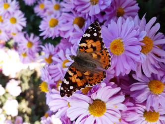 Similar image 20978568