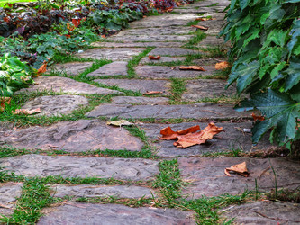 Similar image 20978576