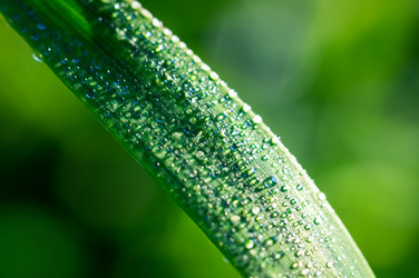 Similar image 20979229