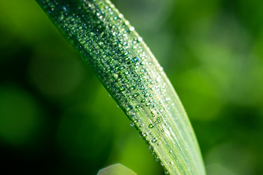 Similar image 20979230