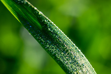 Similar image 20979261