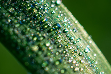 Similar image 20979262