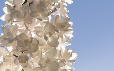 Similar image 20983437