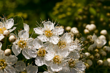 Similar image 20983438