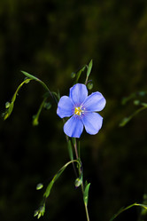 Similar image 20983440