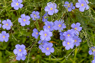 Similar image 20983442