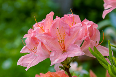 Similar image 20983443