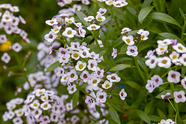 Similar image 20983444