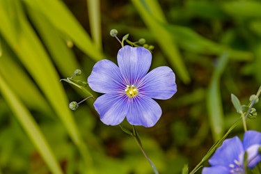 Similar image 20983445