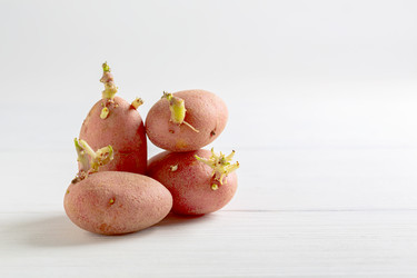 Similar image 20971773