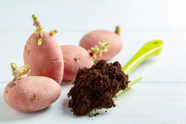 Similar image 20971697