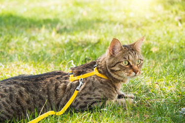 Similar image 20972002