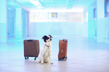 Similar image 21015290