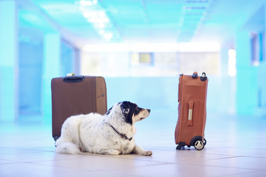 Similar image 21015292