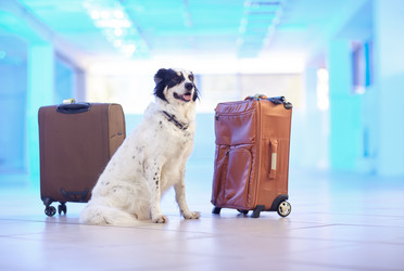 Similar image 21015295